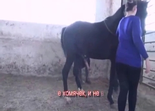 Horny hottie gets her pussy gaped by a horse